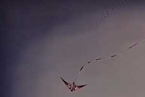 A kite flying in different style