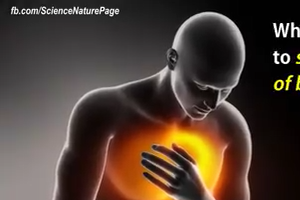 Device that helps  patients who have Diastolic Heart Failure - Nice Video
