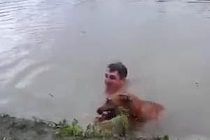 Dog tries to rescue a man in the water
