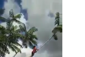 Man falls from tree into lake 