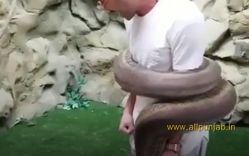 Snake wrapped itself around his Body