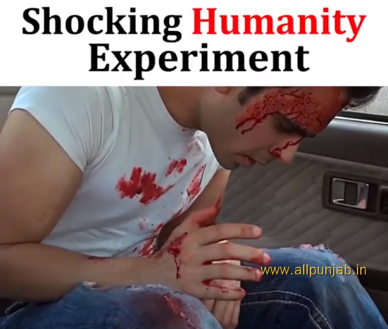 This Humanity Experiment Will Show You The Truth!