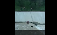  Guy helps a dog who stuck in the water