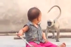 भारतीय वायरल वीडियो बंदर के साथ बच्चे का